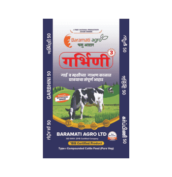 packaging design portfolio